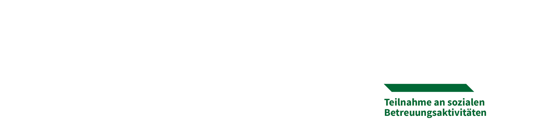 banner text